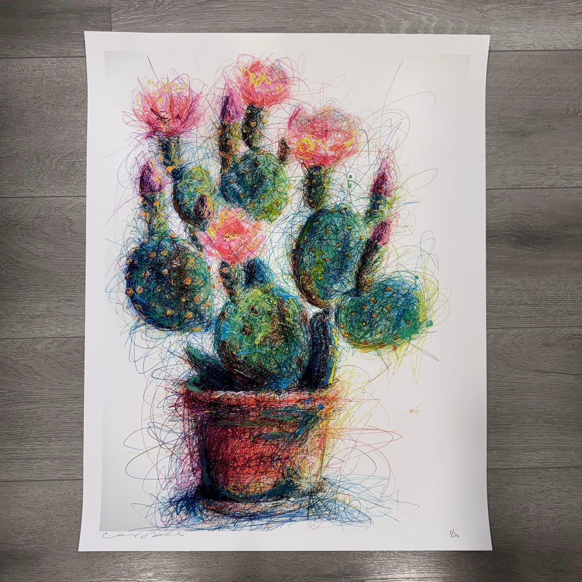 Cactus Still Life Limited Edition Print