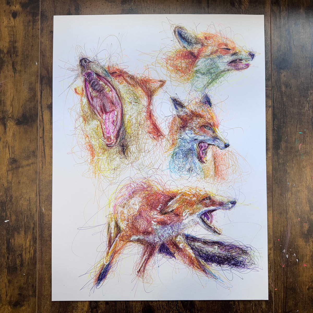 Foxes