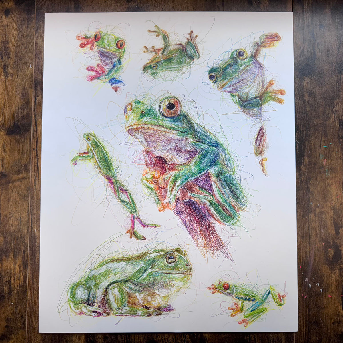 Frog Study